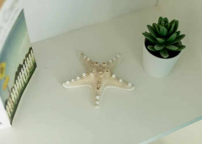 Apartament 101c Morska 5 *